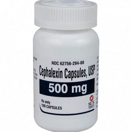 cephalexin