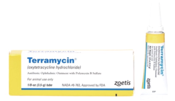 terramycin